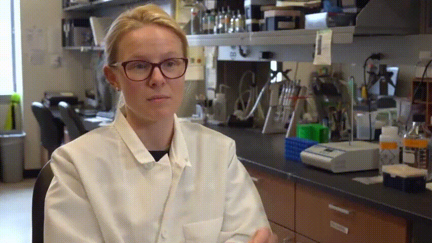 July 2019 Center for Computational and Molecular Biology Ph.D. Program